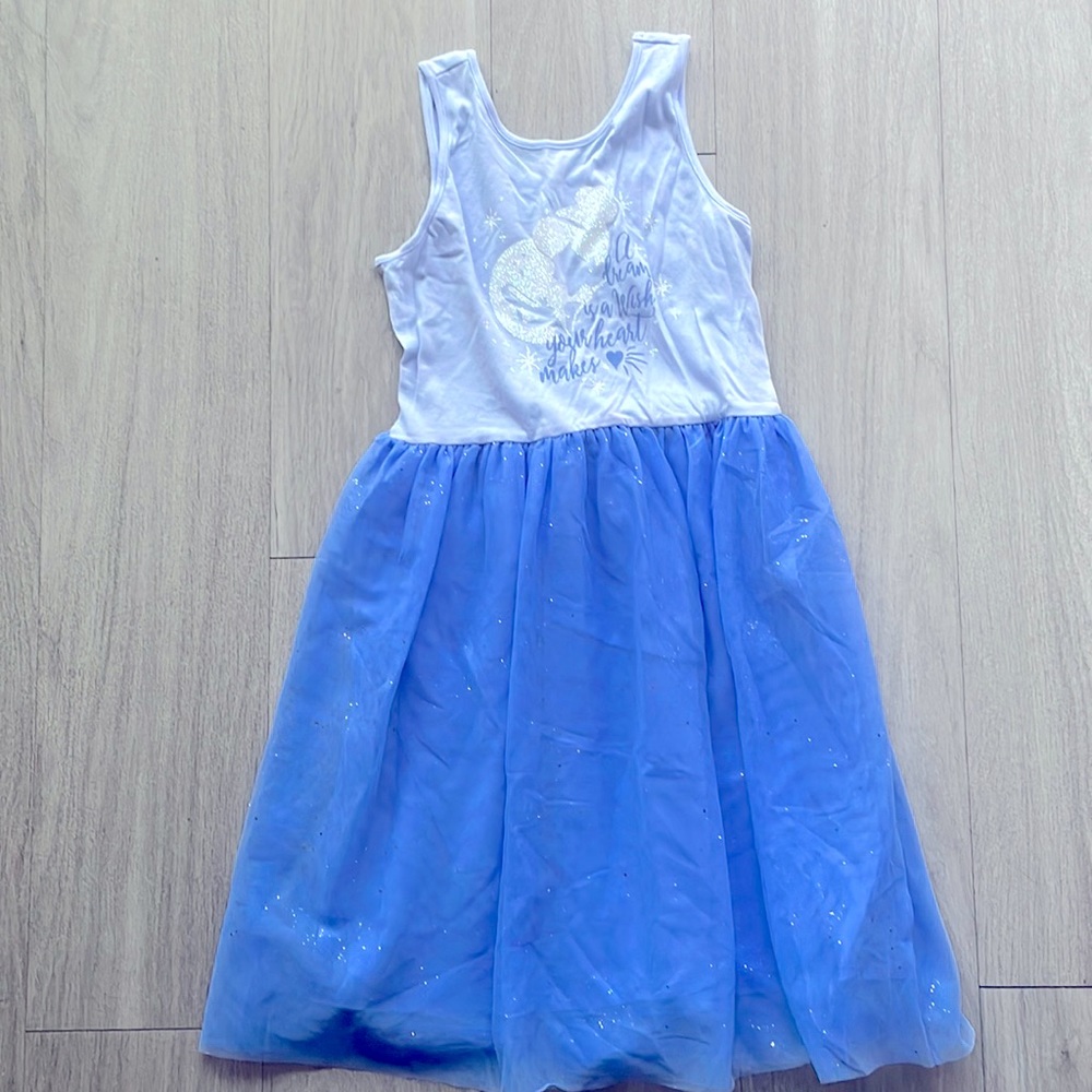 A Dream is Wish Your Heart Makes Shimmer Dress